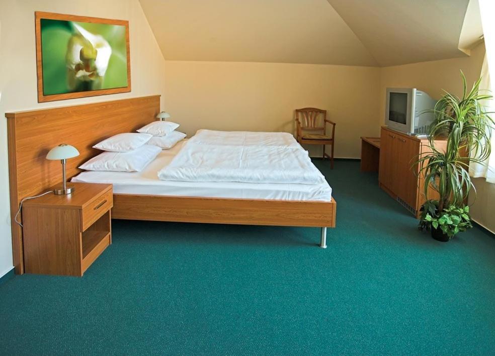 Promedicum Panzio Hotel Veszprem Phòng bức ảnh