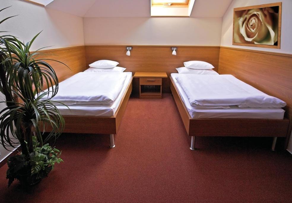 Promedicum Panzio Hotel Veszprem Phòng bức ảnh